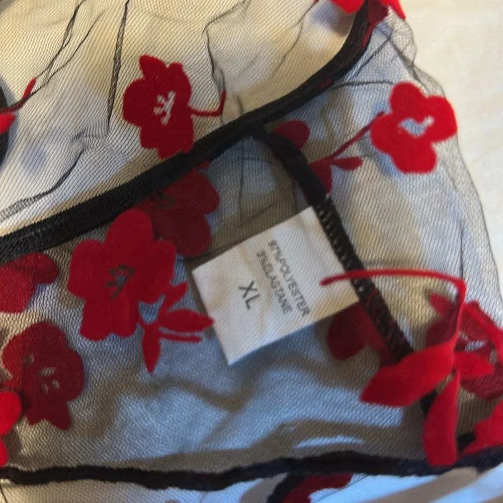 Sheer Black and red bralette and underwear set BNWT - Picture 3 of 5